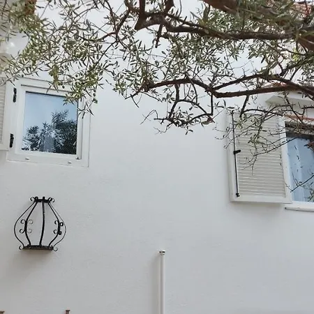 Olive Tree Apartment Zadar Exterior photo